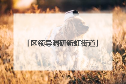 区领导调研新虹街道