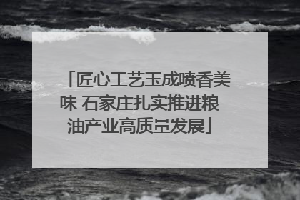 匠心工艺玉成喷香美味 石家庄扎实推进粮油产业高质量发展