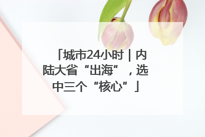城市24小时｜内陆大省“出海”，选中三个“核心”