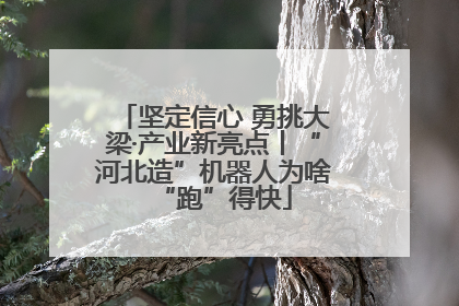 坚定信心 勇挑大梁·产业新亮点丨“河北造”机器人为啥“跑”得快