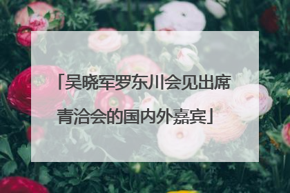 吴晓军罗东川会见出席青洽会的国内外嘉宾