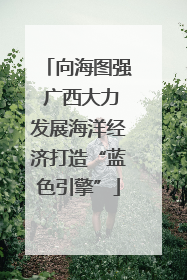 向海图强 广西大力发展海洋经济打造“蓝色引擎”