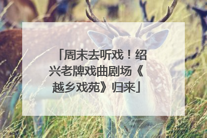 周末去听戏！绍兴老牌戏曲剧场《越乡戏苑》归来