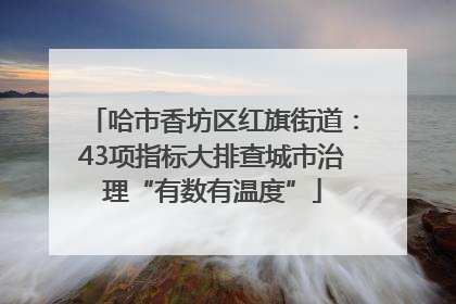 哈市香坊区红旗街道：43项指标大排查城市治理“有数有温度”