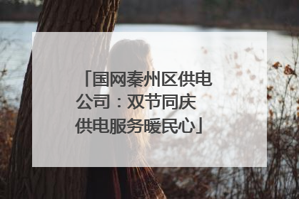 国网秦州区供电公司：双节同庆 供电服务暖民心