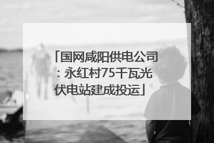 国网咸阳供电公司：永红村75千瓦光伏电站建成投运