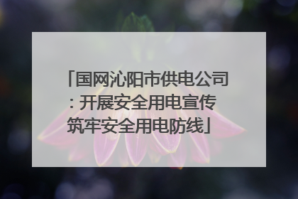 国网沁阳市供电公司：开展安全用电宣传 筑牢安全用电防线