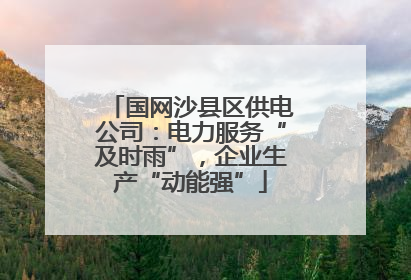 国网沙县区供电公司：电力服务“及时雨”，企业生产“动能强”