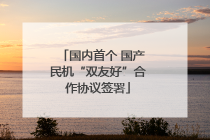 国内首个 国产民机“双友好”合作协议签署