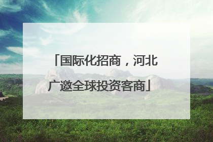 国际化招商，河北广邀全球投资客商
