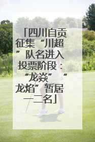 四川自贡征集“川超”队名进入投票阶段：“龙焱”“龙焰”暂居一二名