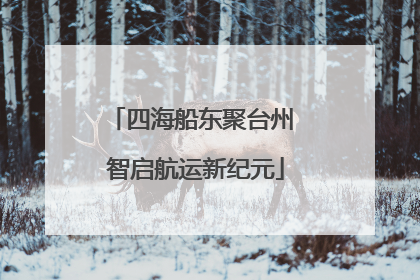 四海船东聚台州 智启航运新纪元