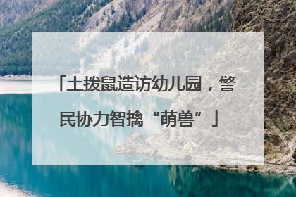 土拨鼠造访幼儿园，警民协力智擒“萌兽”