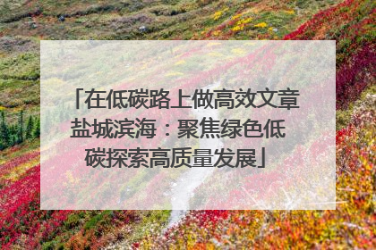 在低碳路上做高效文章 盐城滨海：聚焦绿色低碳探索高质量发展