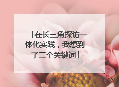 在长三角探访一体化实践，我想到了三个关键词