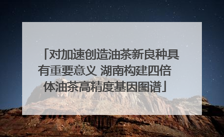 对加速创造油茶新良种具有重要意义 湖南构建四倍体油茶高精度基因图谱