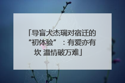 导盲犬杰瑞对宿迁的“初体验”：有爱亦有坎 温情破万难