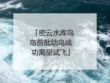 密云水库鸟岛首批幼鸟成功离巢试飞
