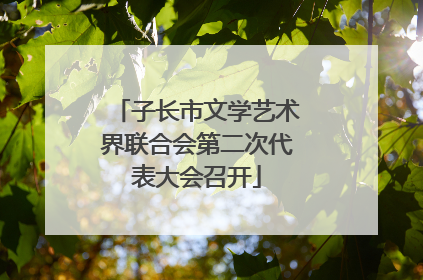 子长市文学艺术界联合会第二次代表大会召开