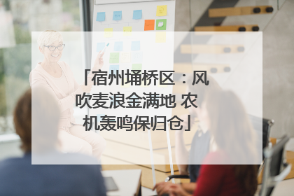 宿州埇桥区：风吹麦浪金满地 农机轰鸣保归仓