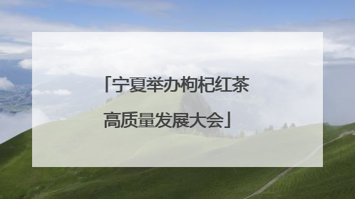 宁夏举办枸杞红茶高质量发展大会