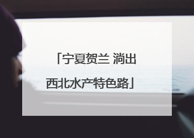 宁夏贺兰 淌出西北水产特色路