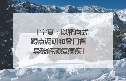 宁夏：以靶向式蹲点调研和登门督导破解顽瘴痼疾