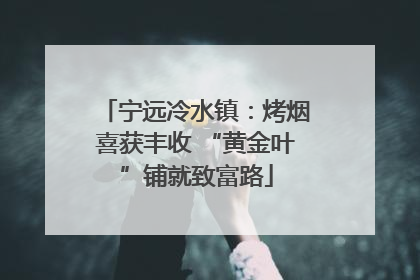 宁远冷水镇：烤烟喜获丰收 “黄金叶”铺就致富路