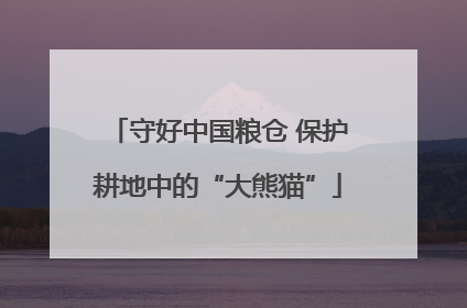 守好中国粮仓 保护耕地中的“大熊猫”