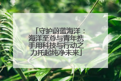 守护蔚蓝海洋：海洋至尊与青年携手用科技与行动之力托起纯净未来