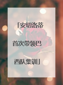 安切洛蒂首次带领巴西队集训