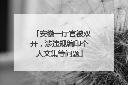 安徽一厅官被双开，涉违规编印个人文集等问题