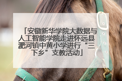 安徽新华学院大数据与人工智能学院走进怀远县淝河镇中黄小学进行“三下乡”支教活动