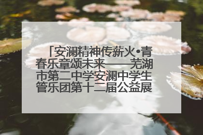 安澜精神传薪火•青春乐章颂未来——芜湖市第二中学安澜中学生管乐团第十二届公益展演圆满举行