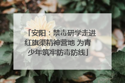 安阳：禁毒研学走进红旗渠精神营地 为青少年筑牢防毒防线