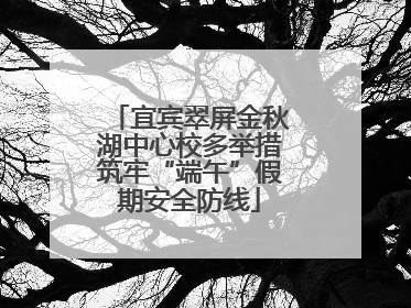 宜宾翠屏金秋湖中心校多举措筑牢“端午”假期安全防线