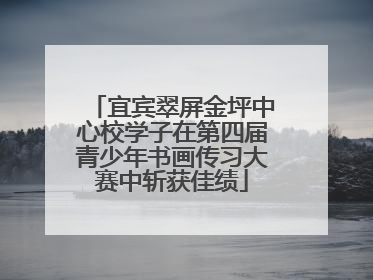 宜宾翠屏金坪中心校学子在第四届青少年书画传习大赛中斩获佳绩