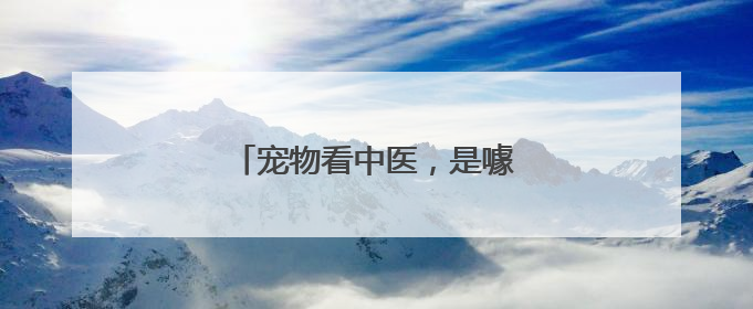 宠物看中医，是噱头？还是新赛道？