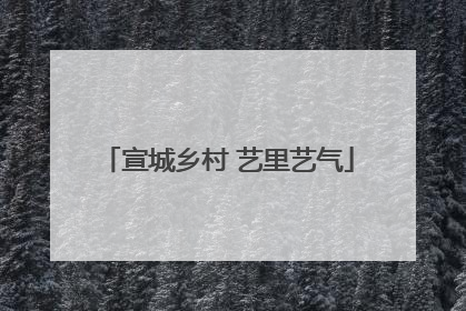 宣城乡村 艺里艺气
