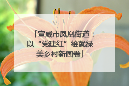 宣威市凤凰街道：以“党建红”绘就绿美乡村新画卷