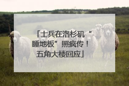 士兵在洛杉矶“睡地板”照疯传！五角大楼回应