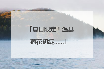 夏日限定！温县荷花初绽……