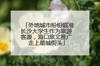 外地城市纷纷瞄准长沙大学生作为旅游客源，海口旅文推广走上星城街头