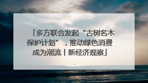 多方联合发起“古树名木保护计划”，推动绿色消费成为潮流丨新经济观察