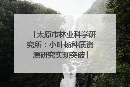 太原市林业科学研究所：小叶杨种质资源研究实现突破
