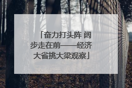 奋力打头阵 阔步走在前——经济大省挑大梁观察