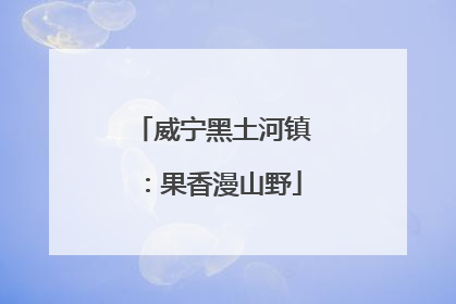 威宁黑土河镇：果香漫山野