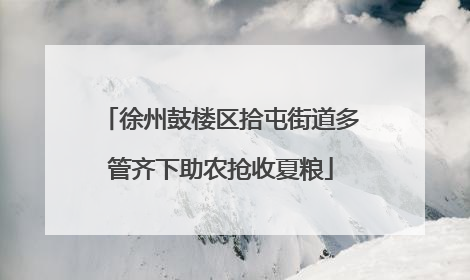 徐州鼓楼区拾屯街道多管齐下助农抢收夏粮