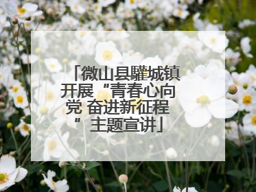 微山县驩城镇开展“青春心向党 奋进新征程”主题宣讲