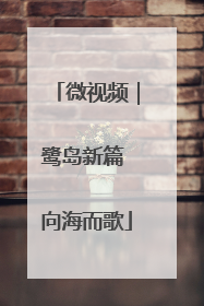 微视频｜鹭岛新篇 向海而歌